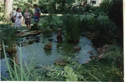 Frail Pond