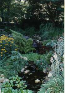 Frail Pond
