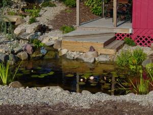 R Miller Pond 1